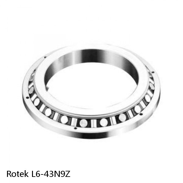 L6-43N9Z Rotek Slewing Ring Bearings