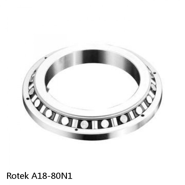 A18-80N1 Rotek Slewing Ring Bearings