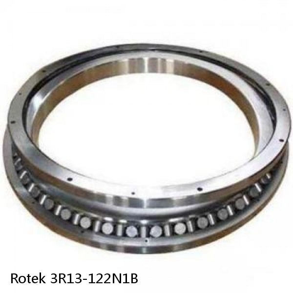 3R13-122N1B Rotek Slewing Ring Bearings