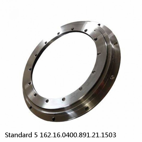 162.16.0400.891.21.1503 Standard 5 Slewing Ring Bearings