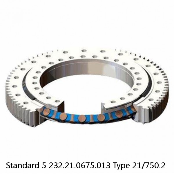 232.21.0675.013 Type 21/750.2 Standard 5 Slewing Ring Bearings