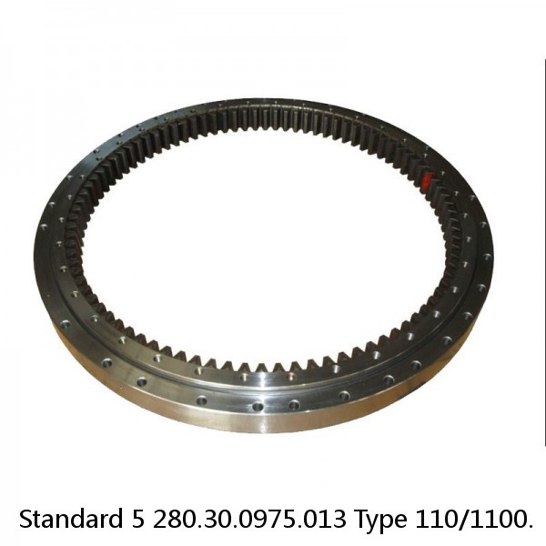 280.30.0975.013 Type 110/1100. Standard 5 Slewing Ring Bearings