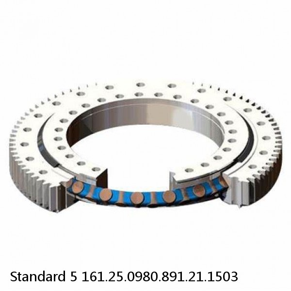 161.25.0980.891.21.1503 Standard 5 Slewing Ring Bearings