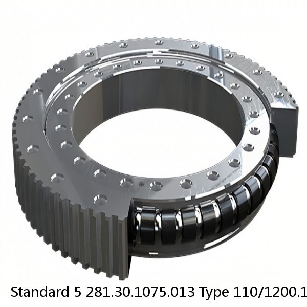 281.30.1075.013 Type 110/1200.1 Standard 5 Slewing Ring Bearings