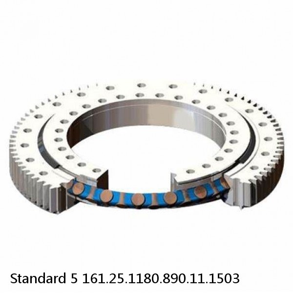 161.25.1180.890.11.1503 Standard 5 Slewing Ring Bearings