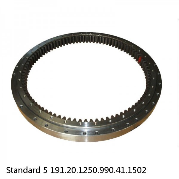 191.20.1250.990.41.1502 Standard 5 Slewing Ring Bearings