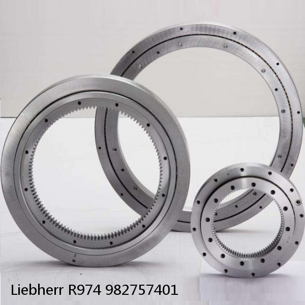 982757401 Liebherr R974 Slewing Ring