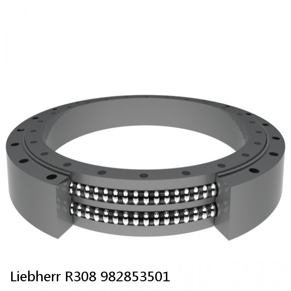 982853501 Liebherr R308 Slewing Ring