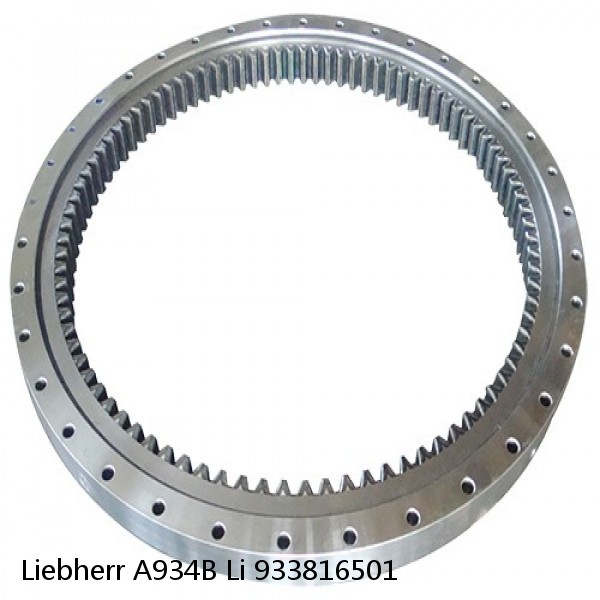 933816501 Liebherr A934B Li Slewing Ring