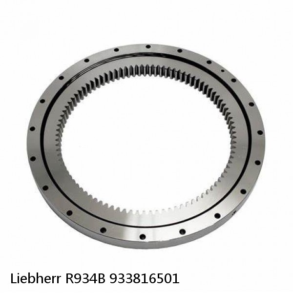 933816501 Liebherr R934B Slewing Ring