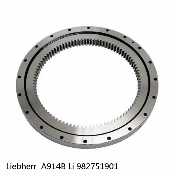 982751901 Liebherr  A914B Li Slewing Ring