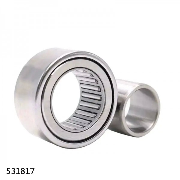 531817 Cylindrical Roller Bearings